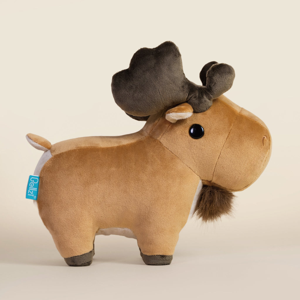 Moosi the Moose