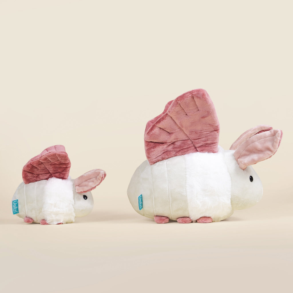 Mini Mothi the Moth