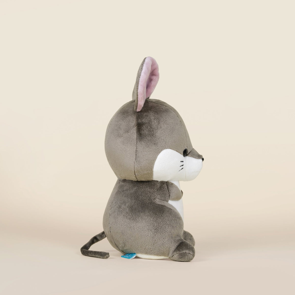 Mousi the Mouse