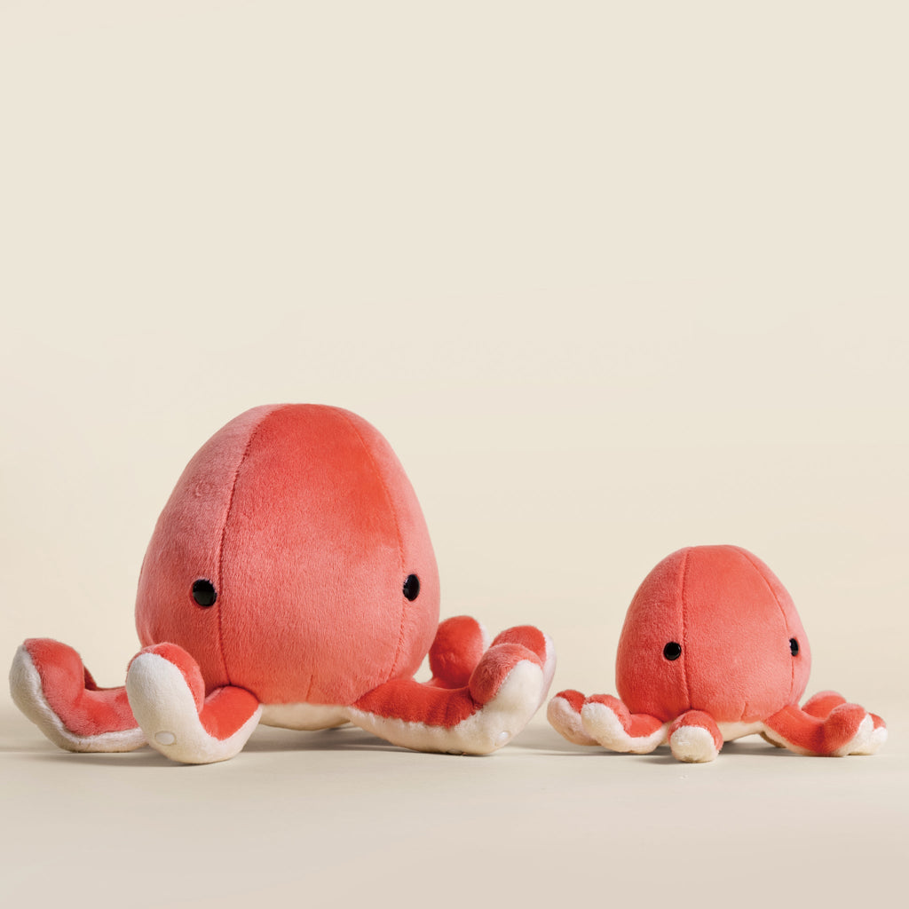 Octi the Octopus
