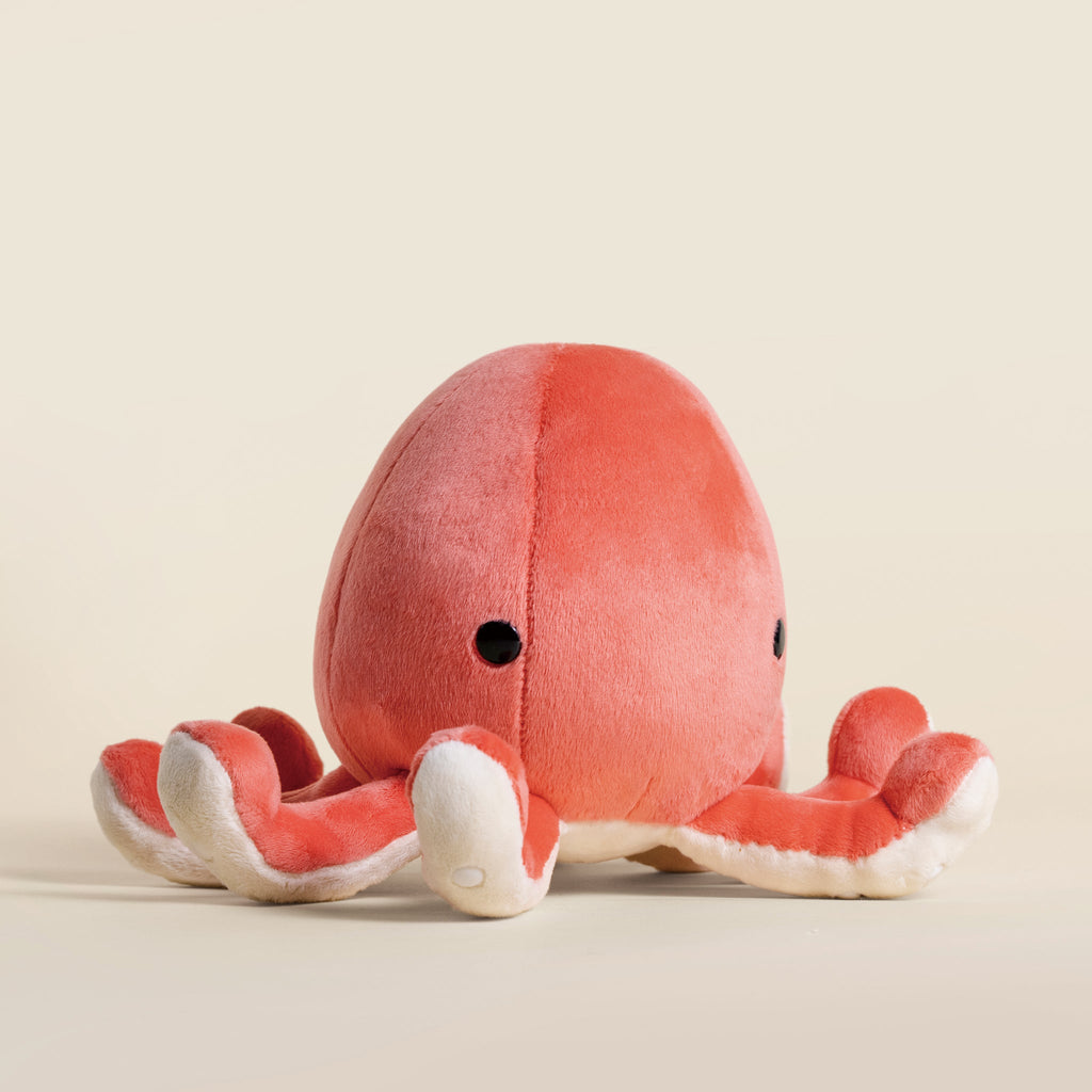 Octi the Octopus