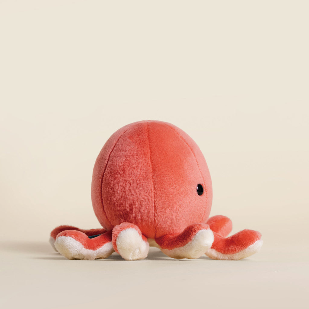 Mini Octi the Octopus