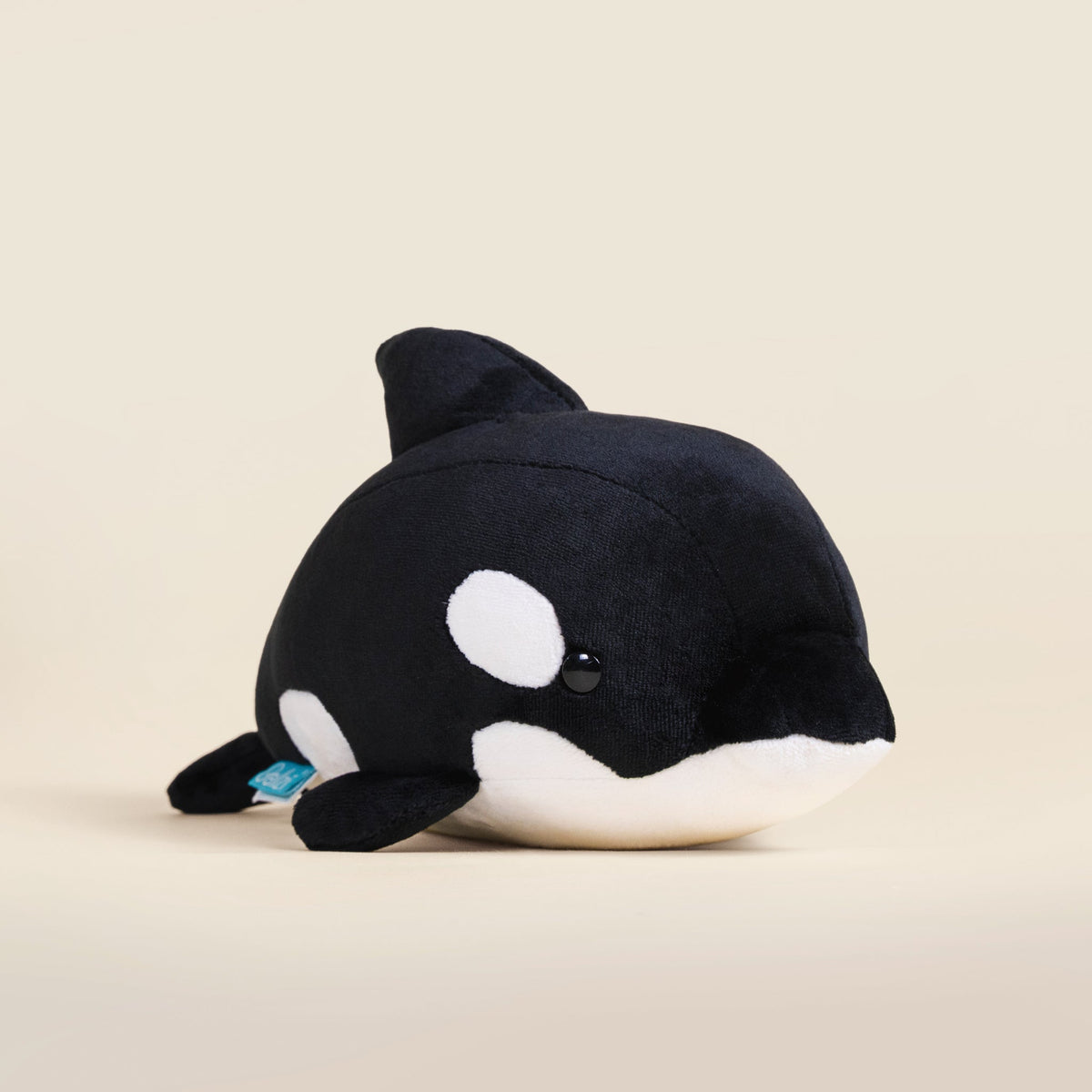 Orki the Orca