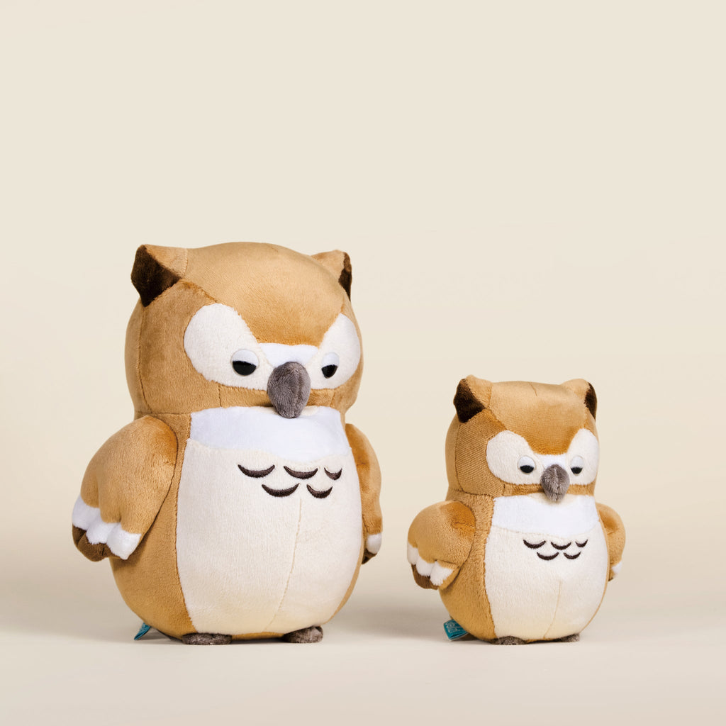Mini Owli the Barn Owl