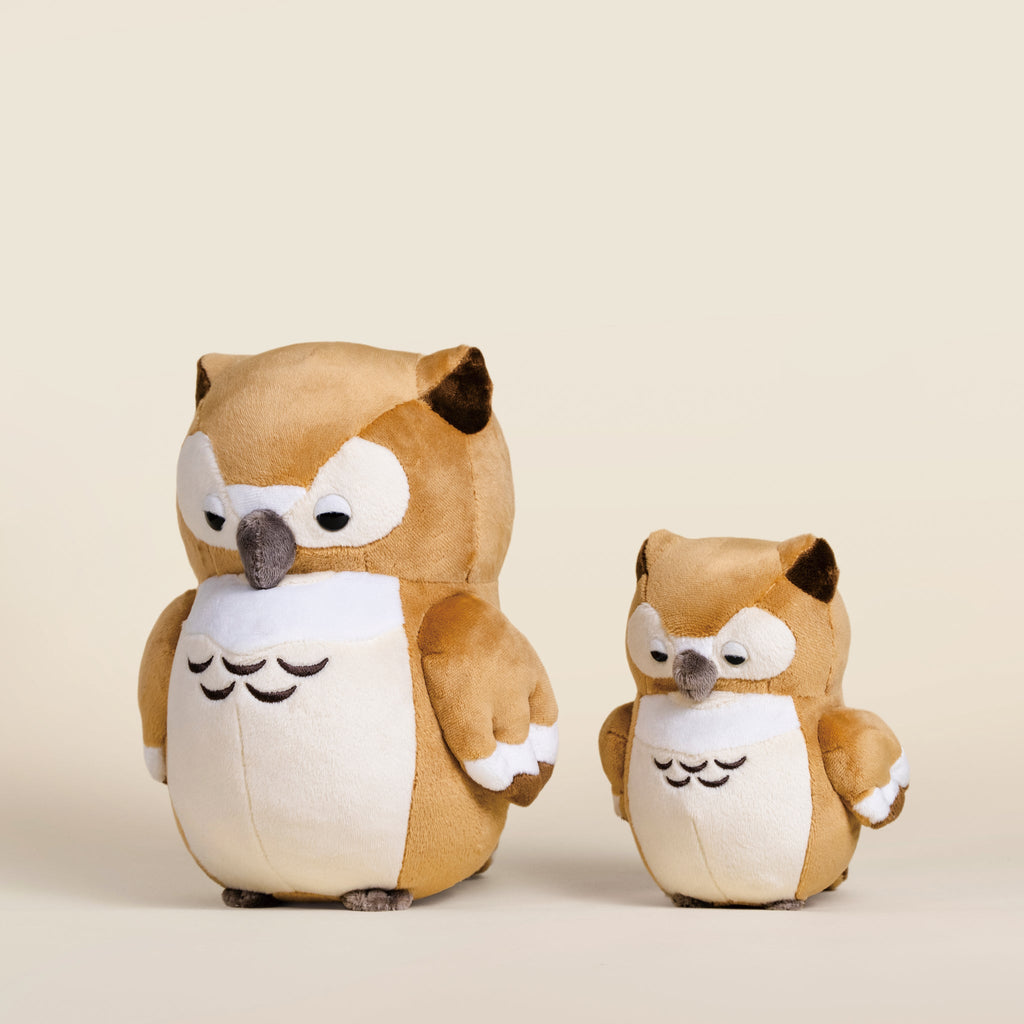 Mini Owli the Barn Owl