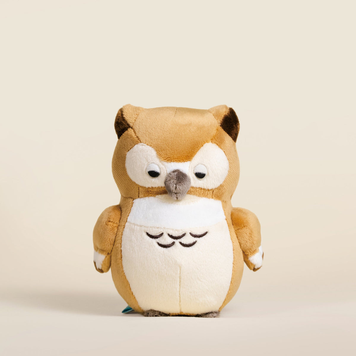 Mini Owli the Barn Owl
