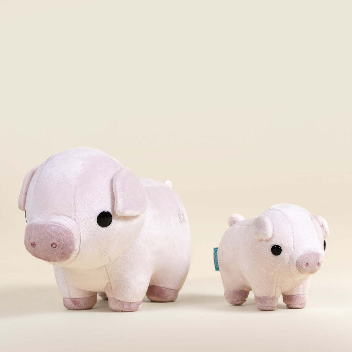 Mini Piggi the Pig