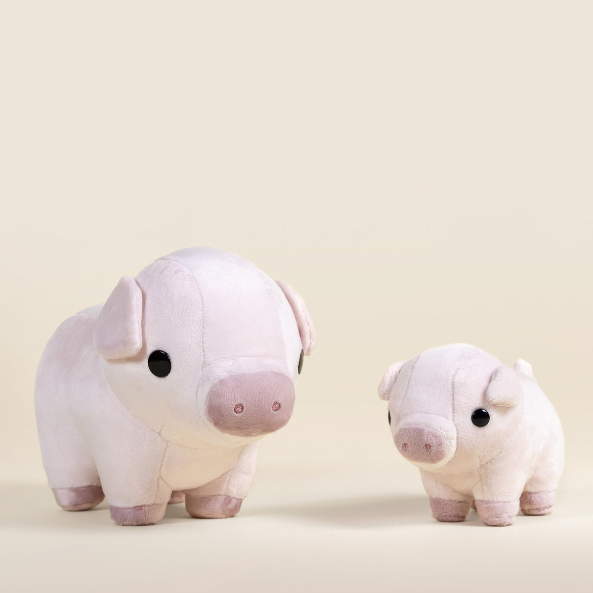 Piggi the Pig