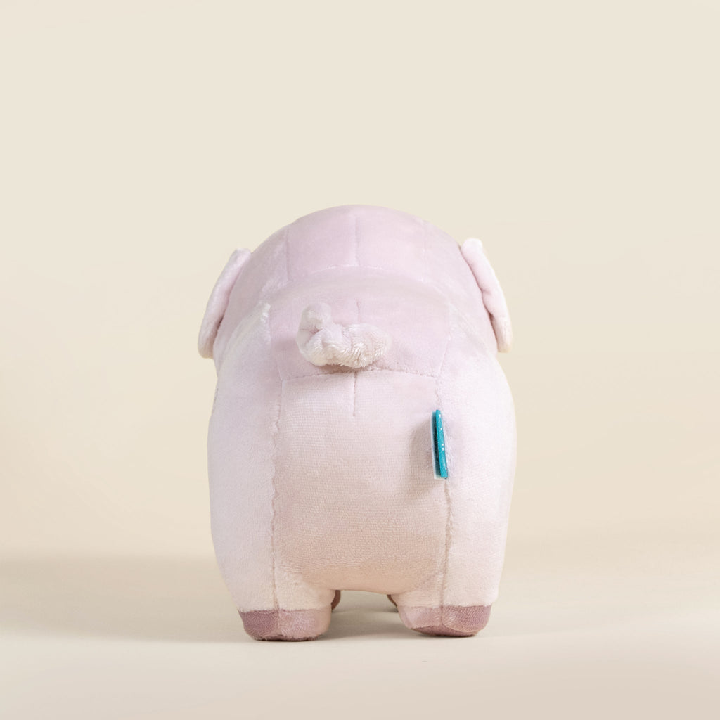 Piggi the Pig