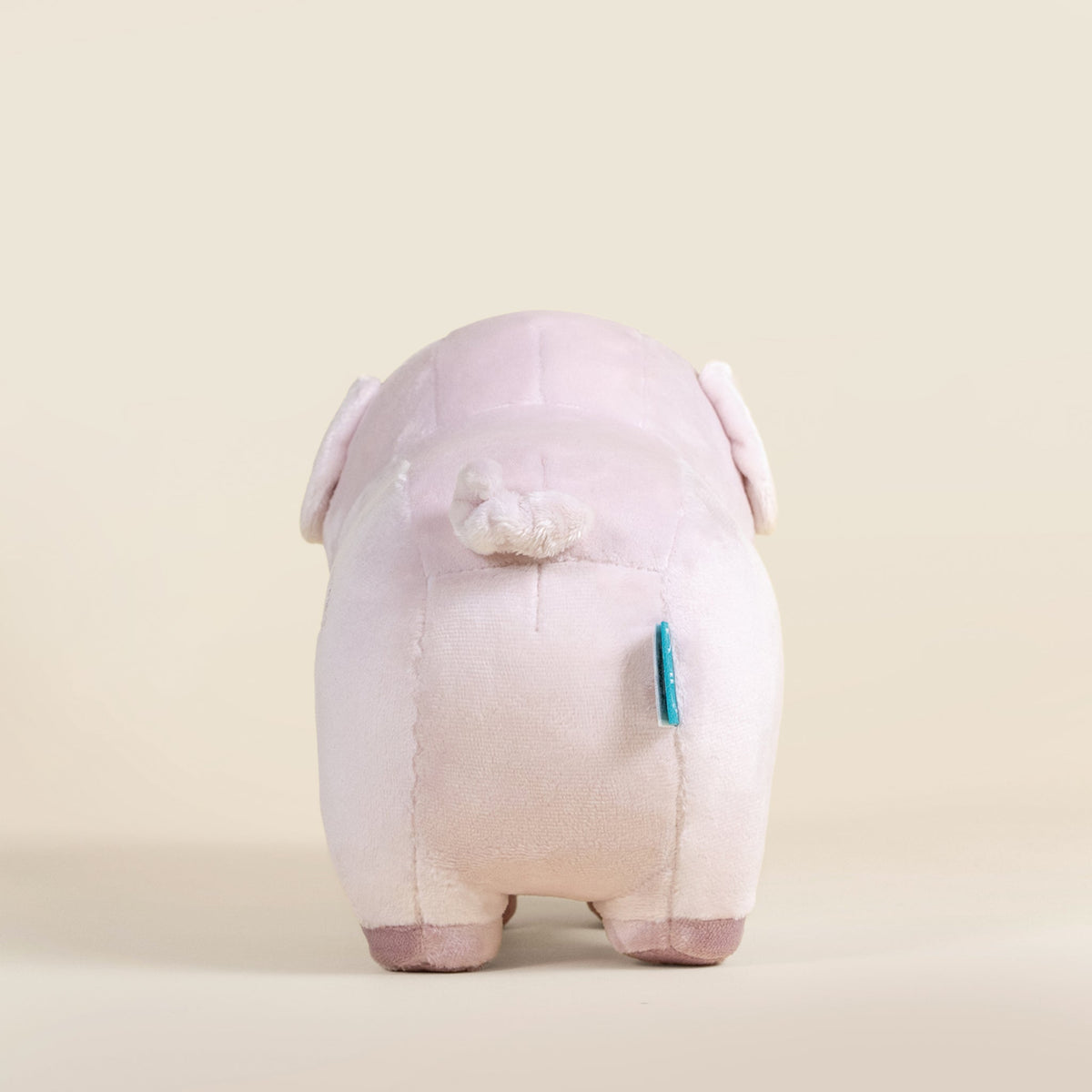 Piggi the Pig