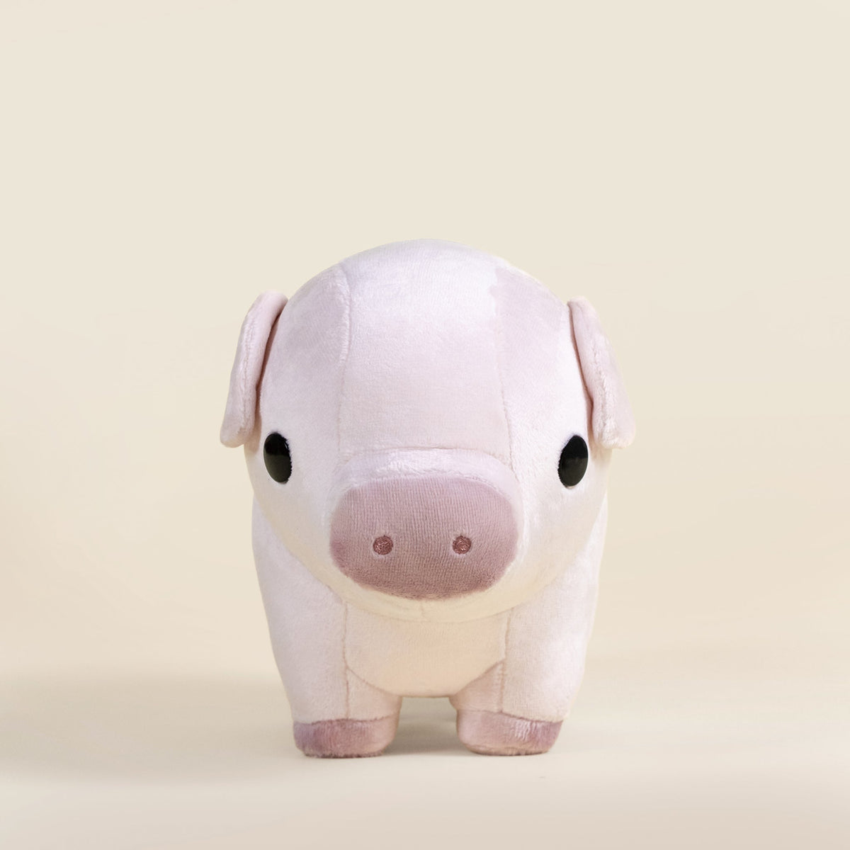 Piggi the Pig