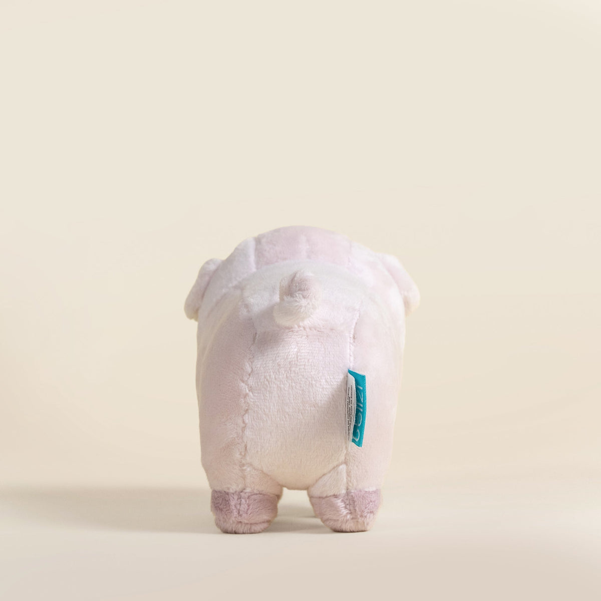 Mini Piggi the Pig