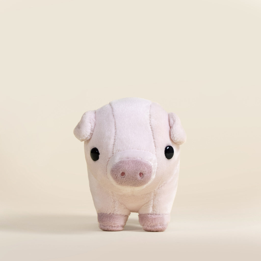 Mini Piggi the Pig