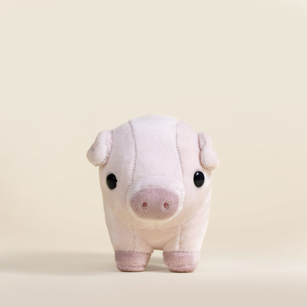 Mini Piggi the Pig