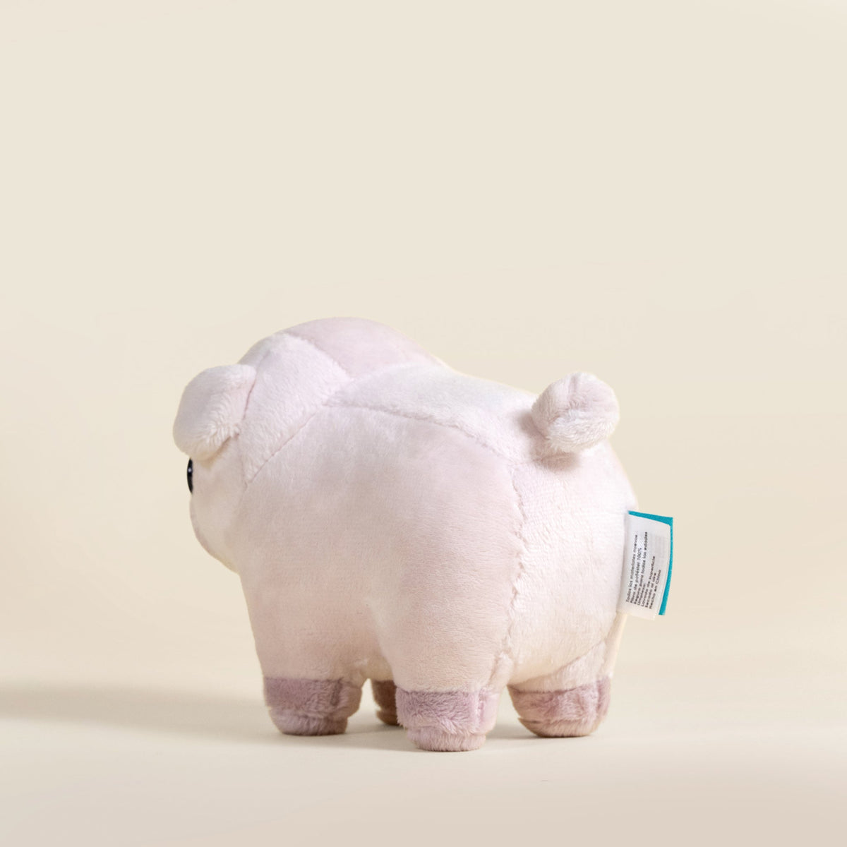 Mini Piggi the Pig