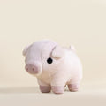 Mini Piggi the Pig