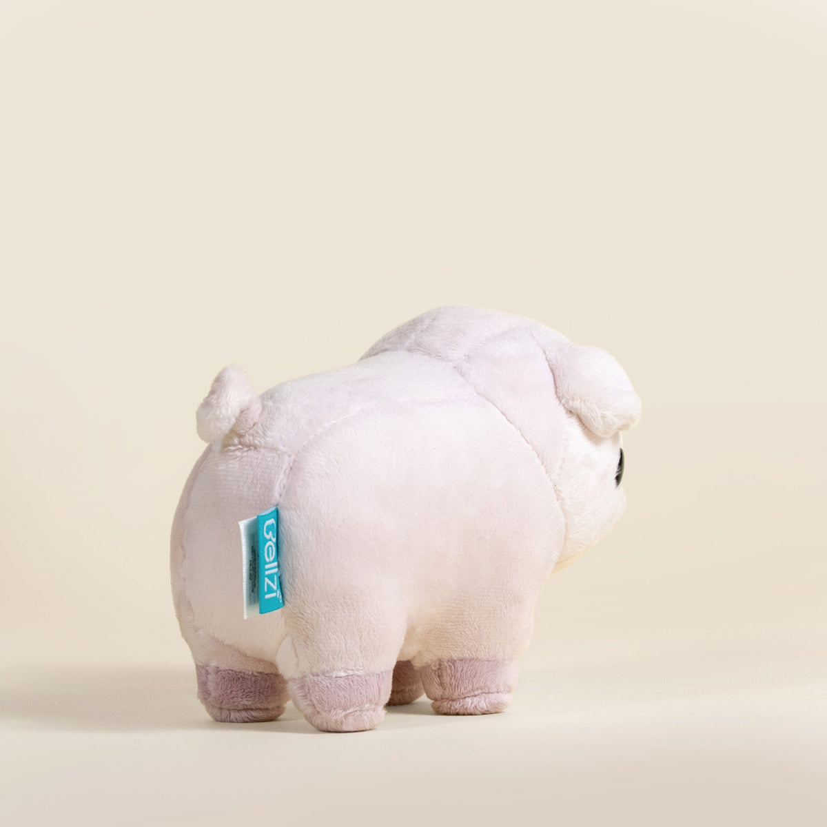 Mini Piggi the Pig