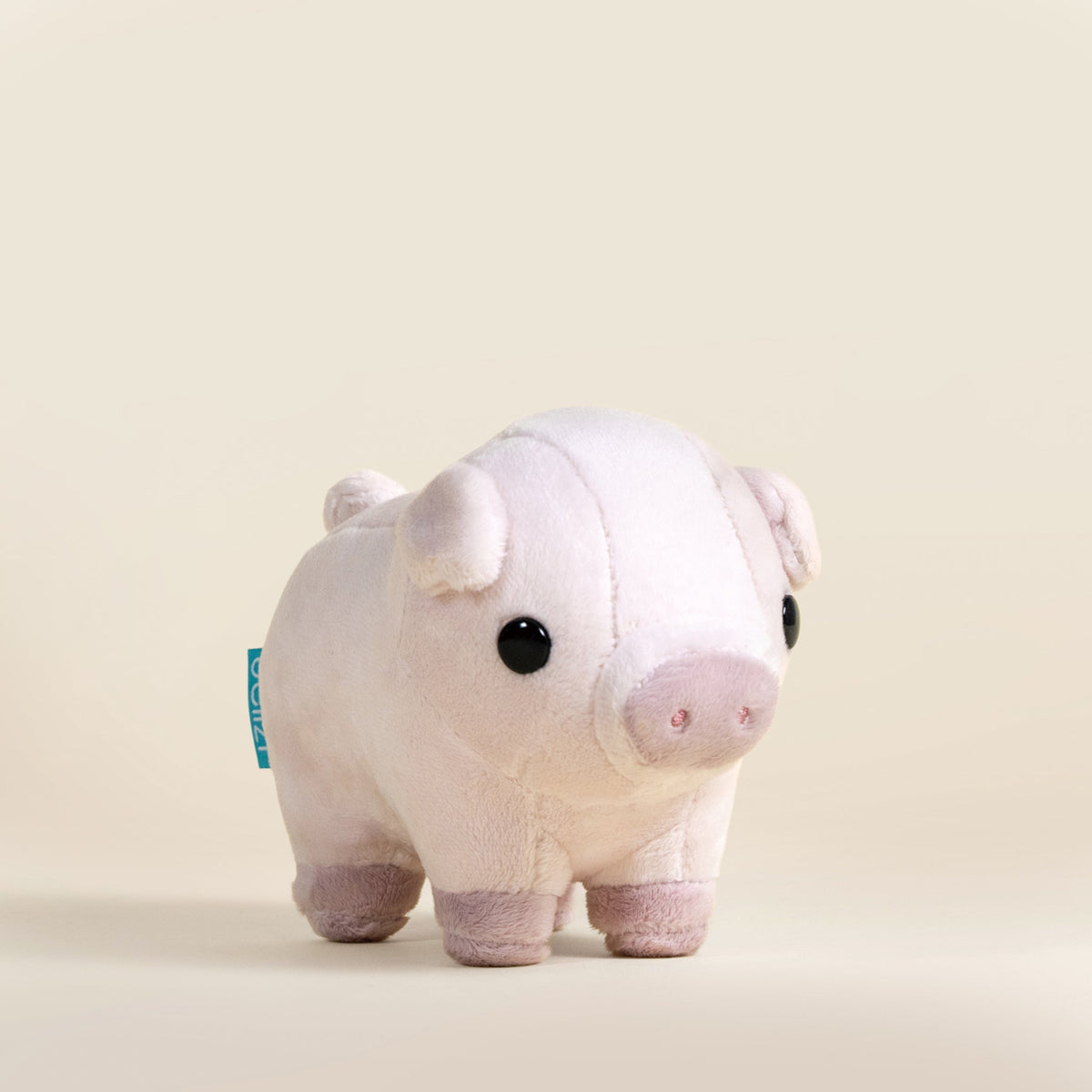 Mini Piggi the Pig