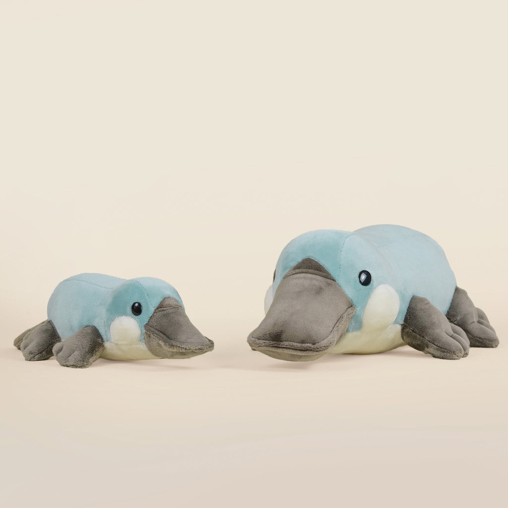 Plati the Platypus