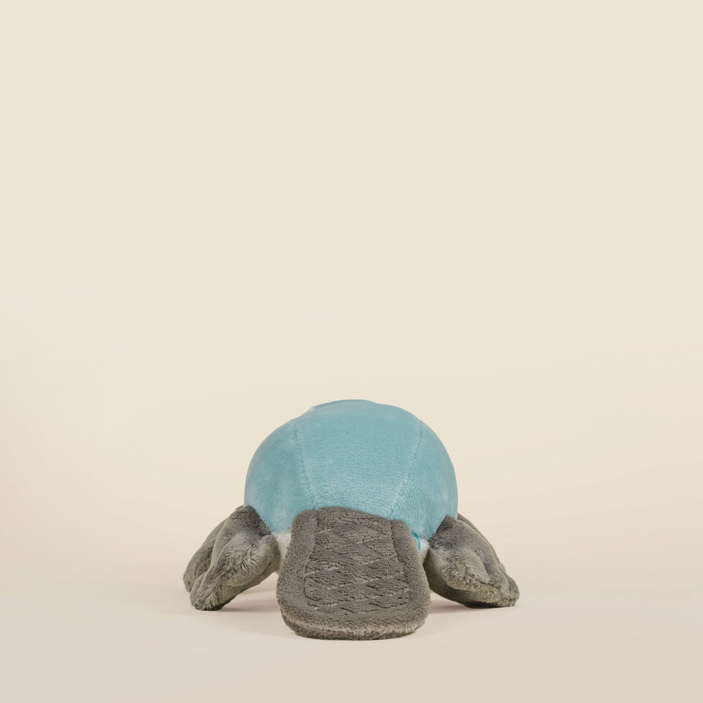 Mini Plati the Platypus