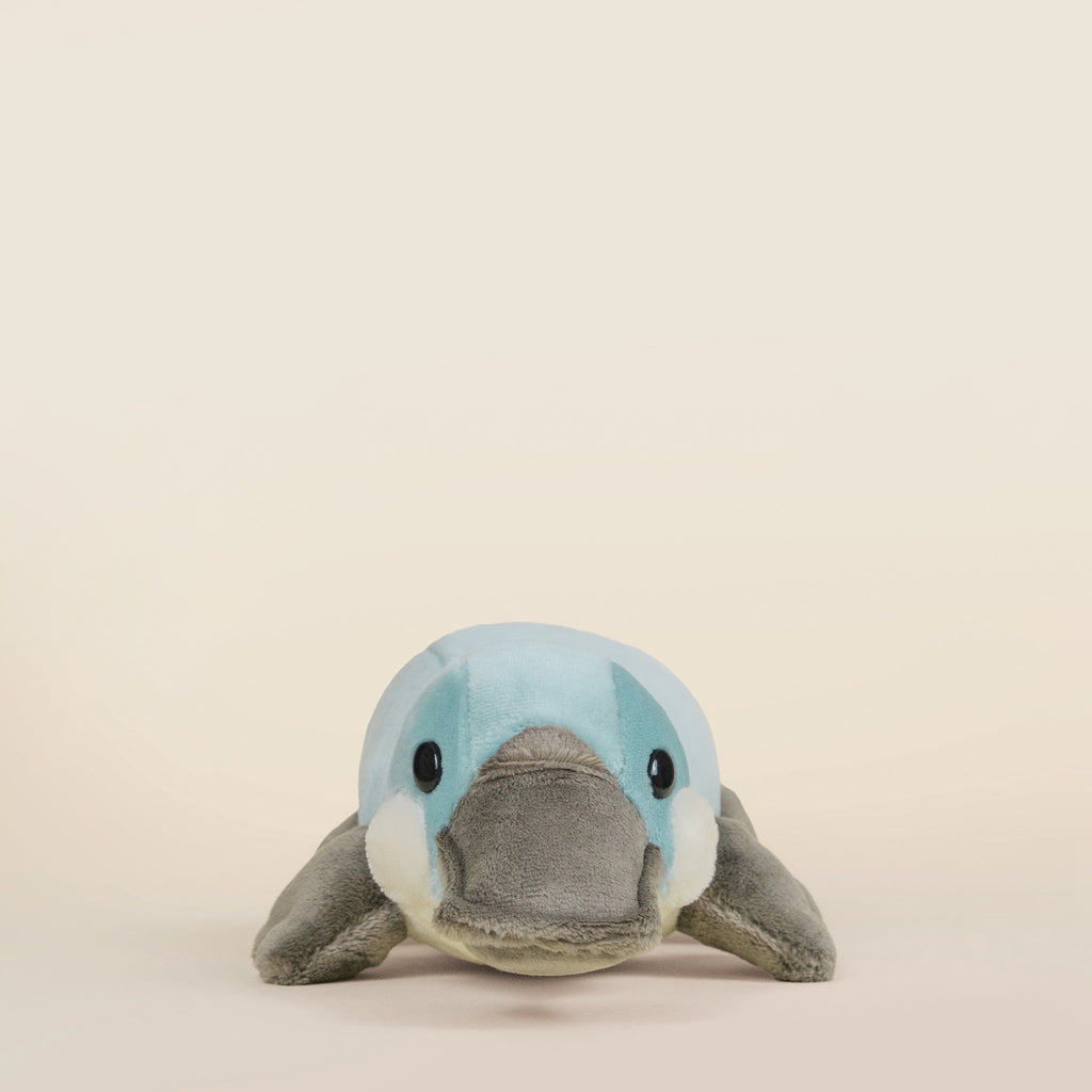 Mini Plati the Platypus