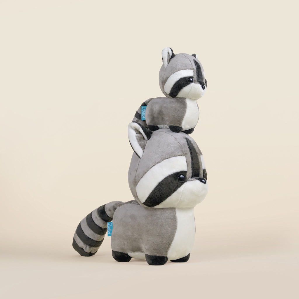 Raccooni the Raccoon