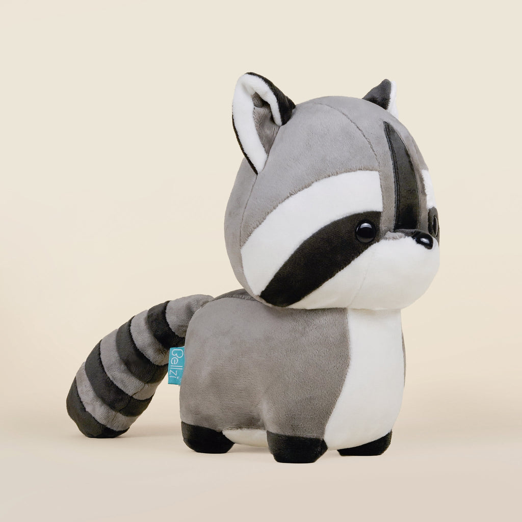 Raccooni the Raccoon