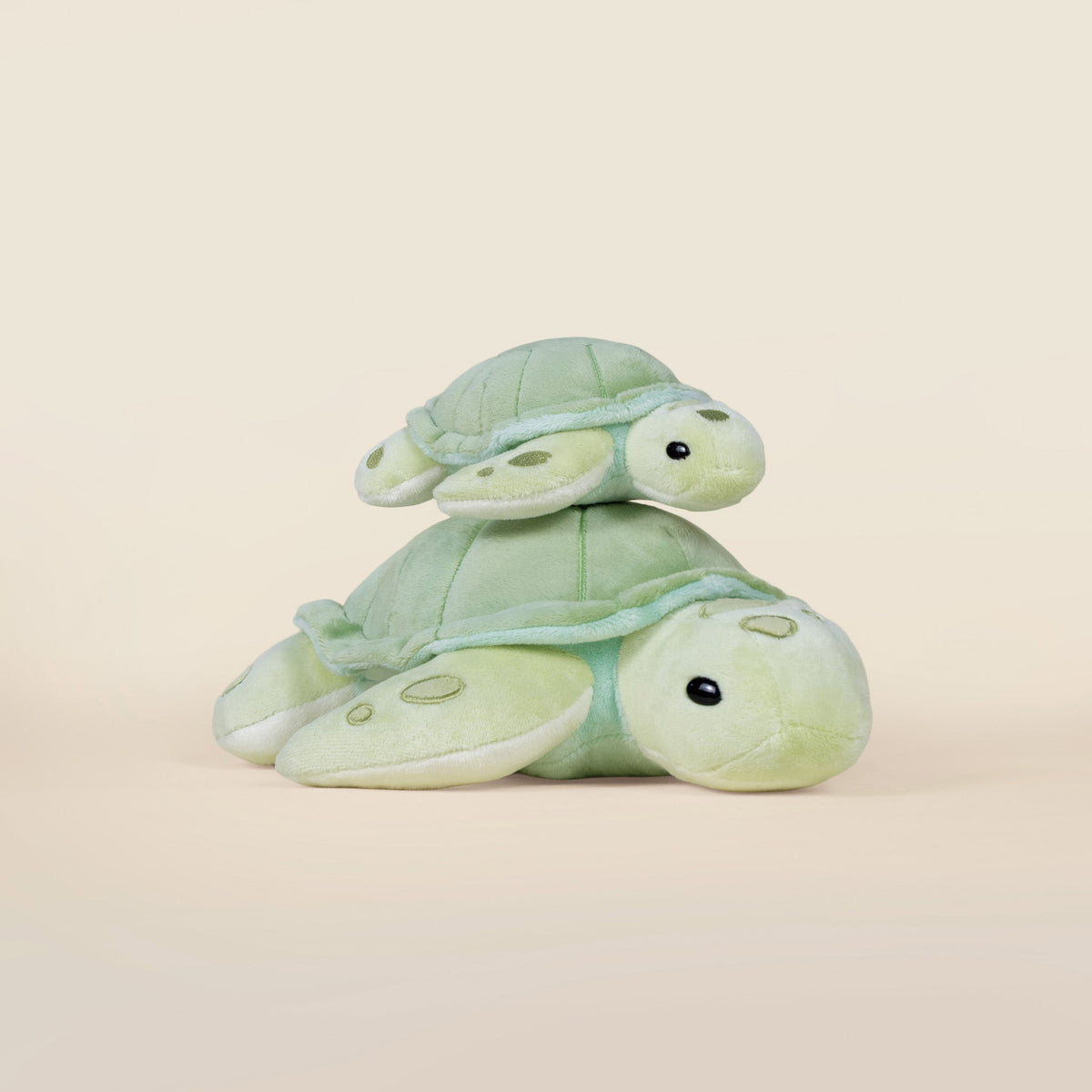 Mini Sea Torti the Sea Turtle