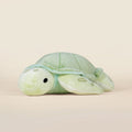 Sea Torti the Sea Turtle