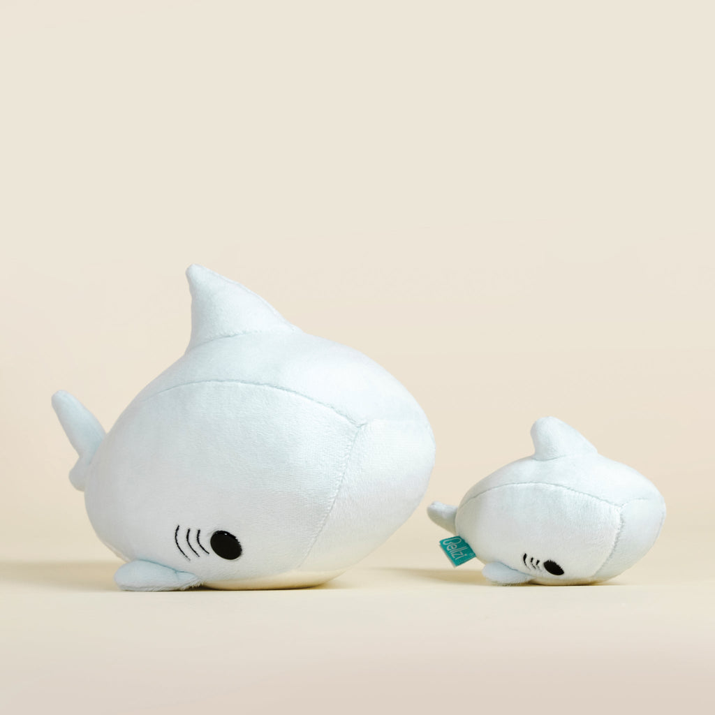 Mini Sharki the Shark