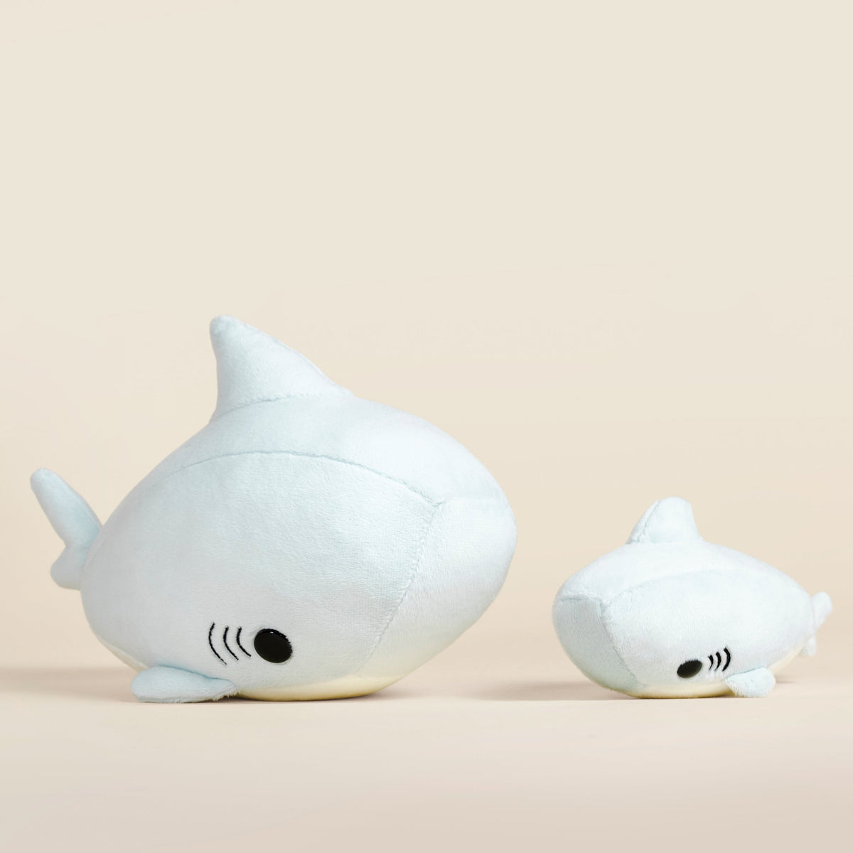 Mini Sharki the Shark