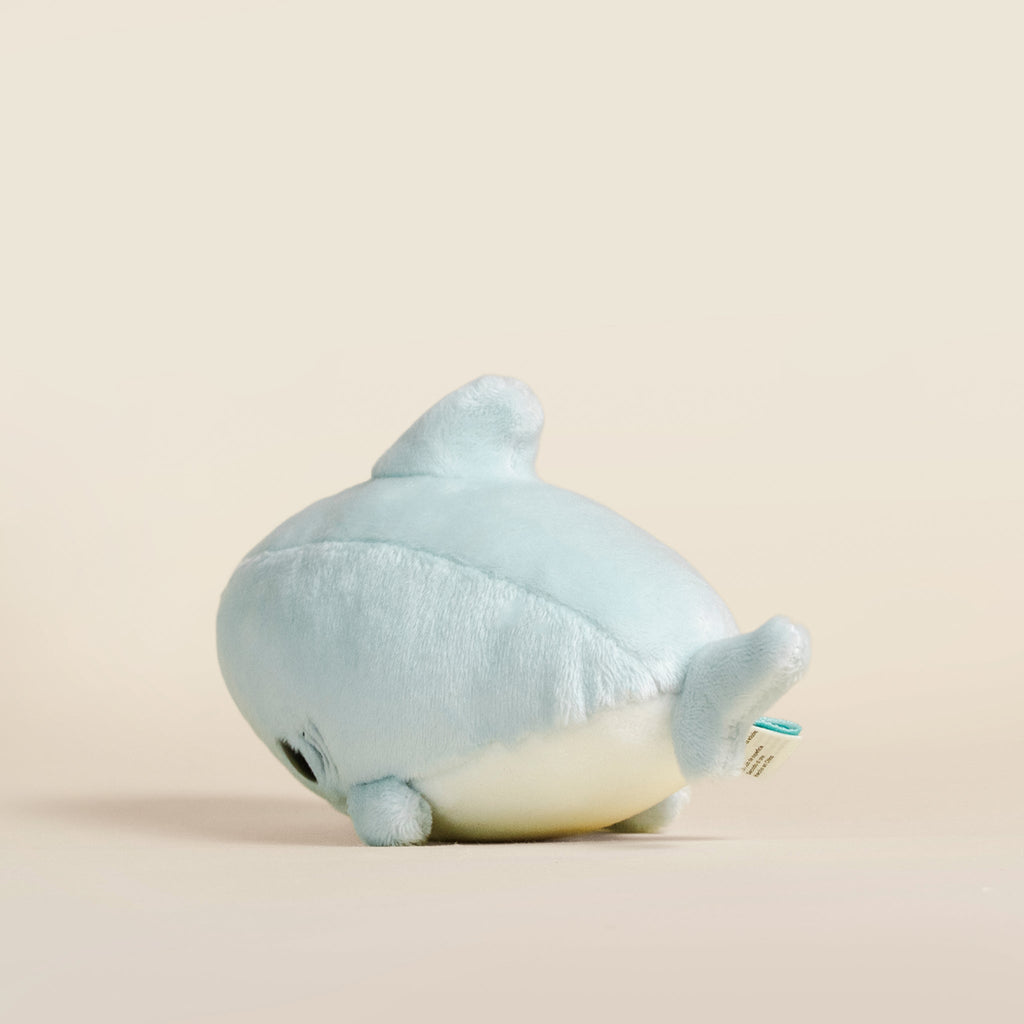 Mini Sharki the Shark