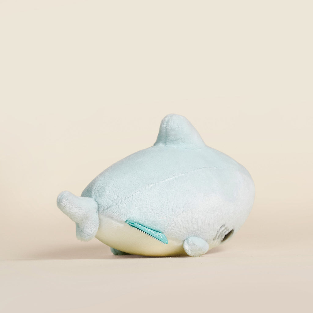 Mini Sharki the Shark