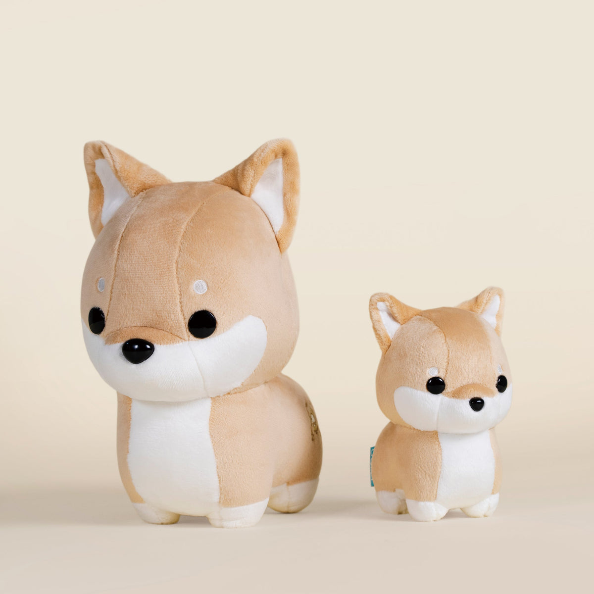 Mini Shibi the Shiba Inu