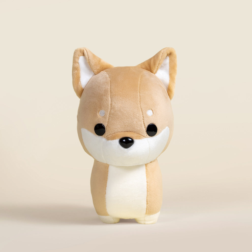 Shibi the Shiba Inu