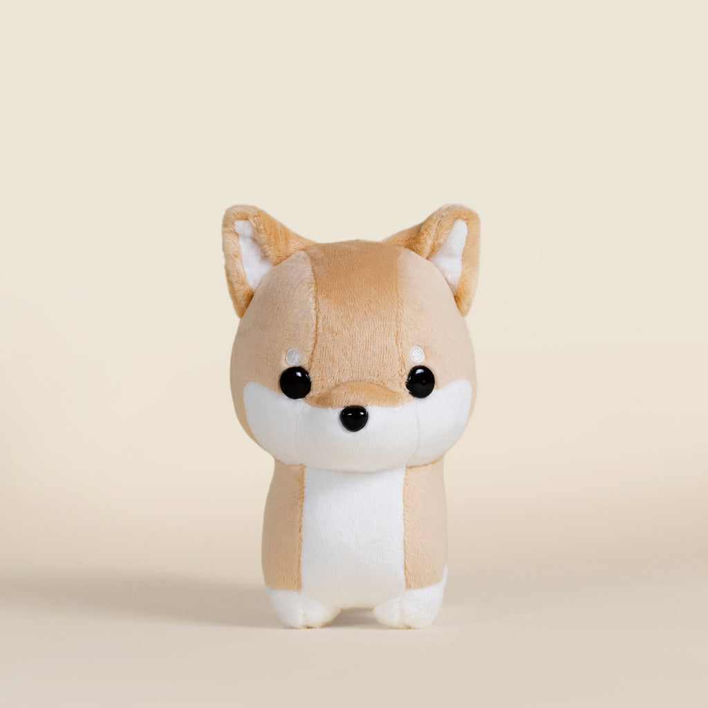 Mini Shibi the Shiba Inu