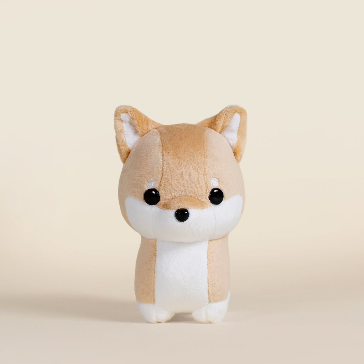 Mini Shibi the Shiba Inu