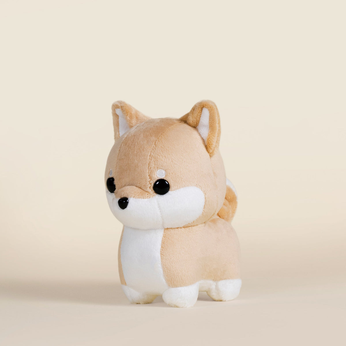 Mini Shibi the Shiba Inu