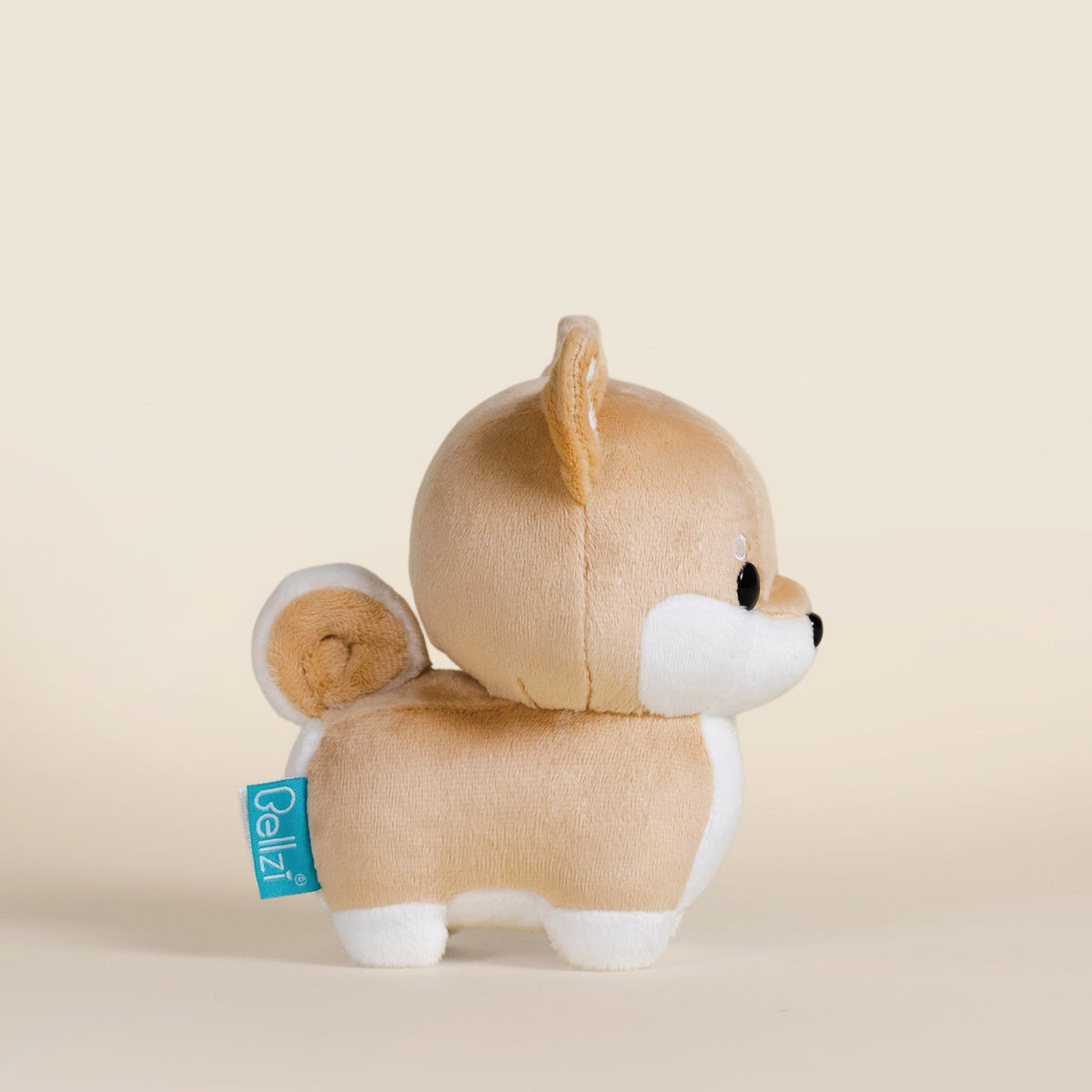 Mini Shibi the Shiba Inu