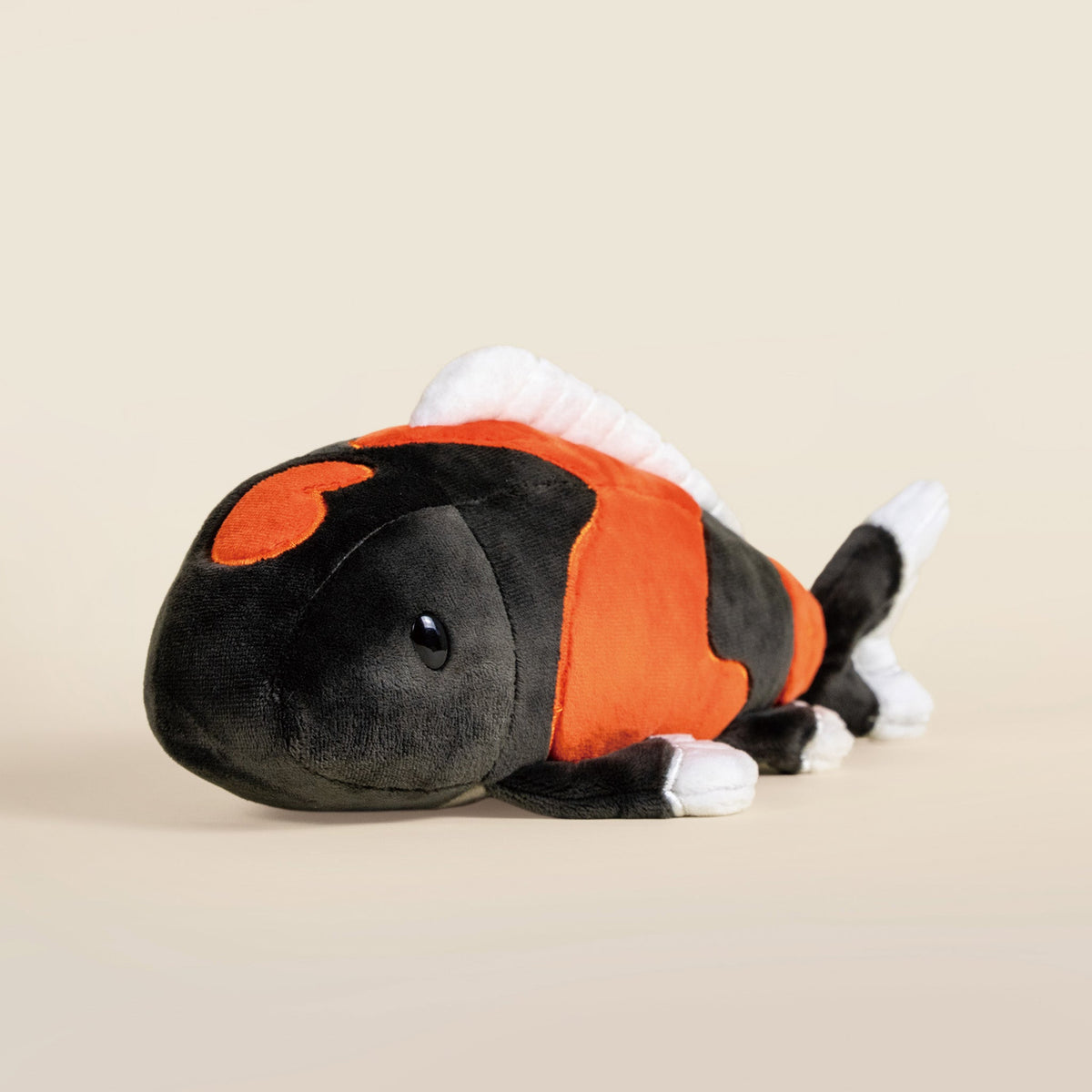 Showa Koi the Koi Fish- Mystery Style