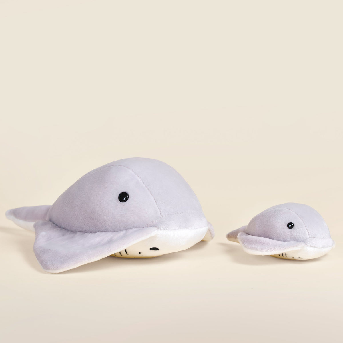 Mini Stingi the Sting Ray