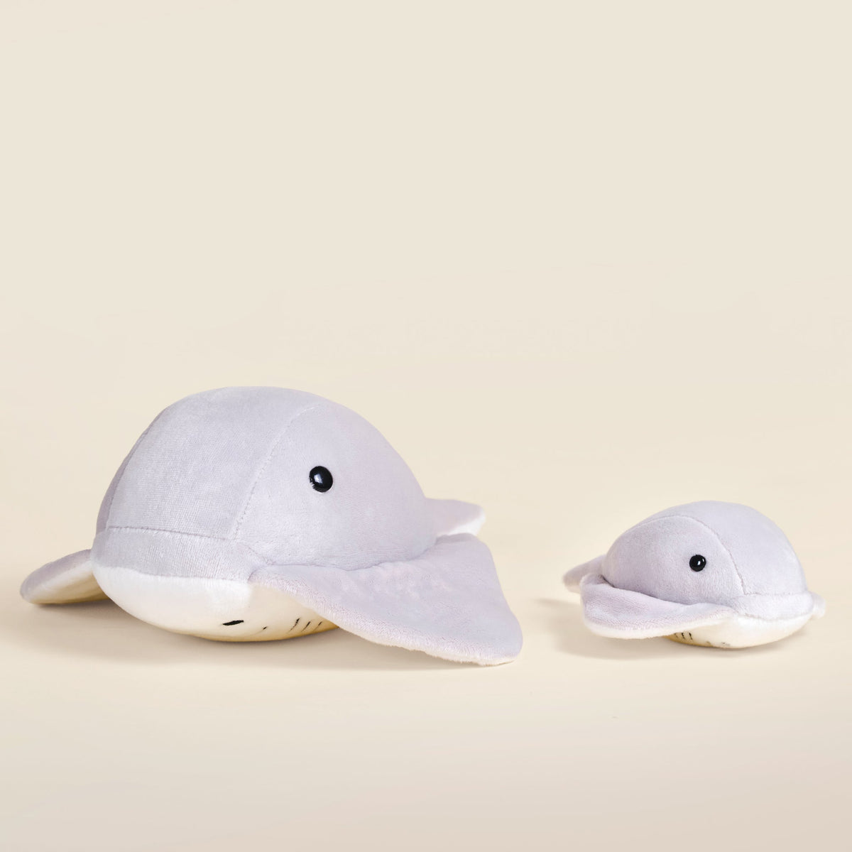 Mini Stingi the Sting Ray