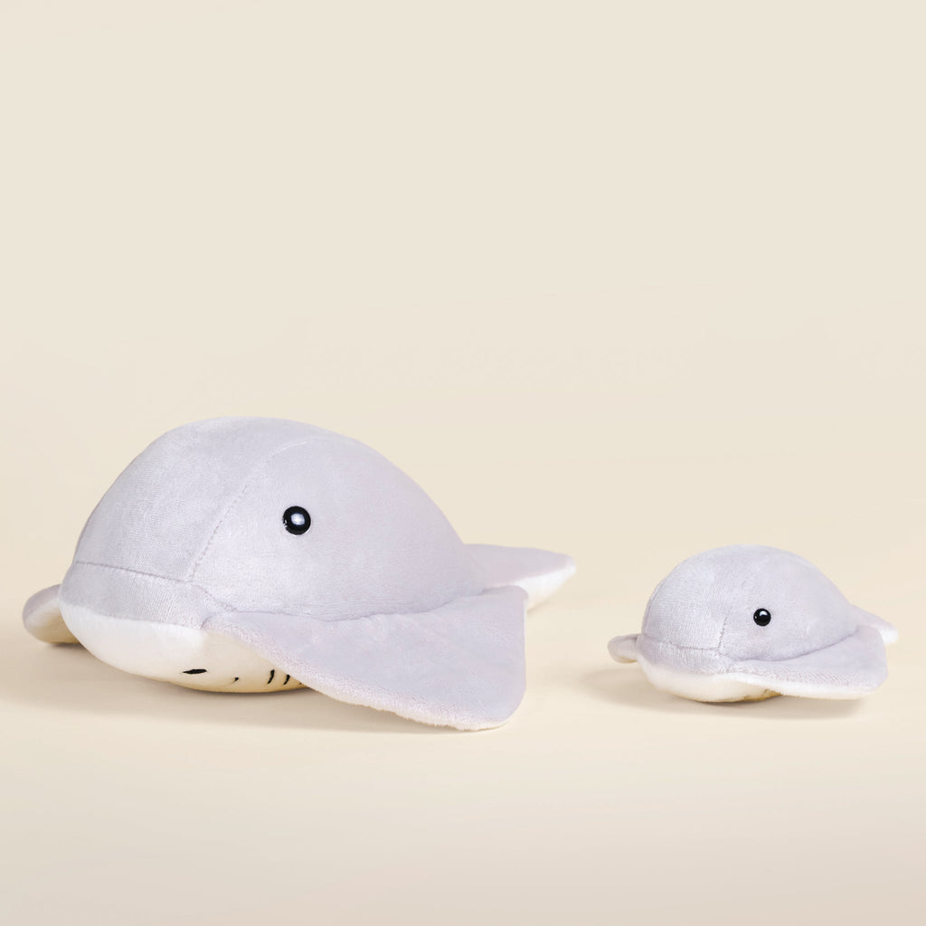 Stingi the Sting Ray