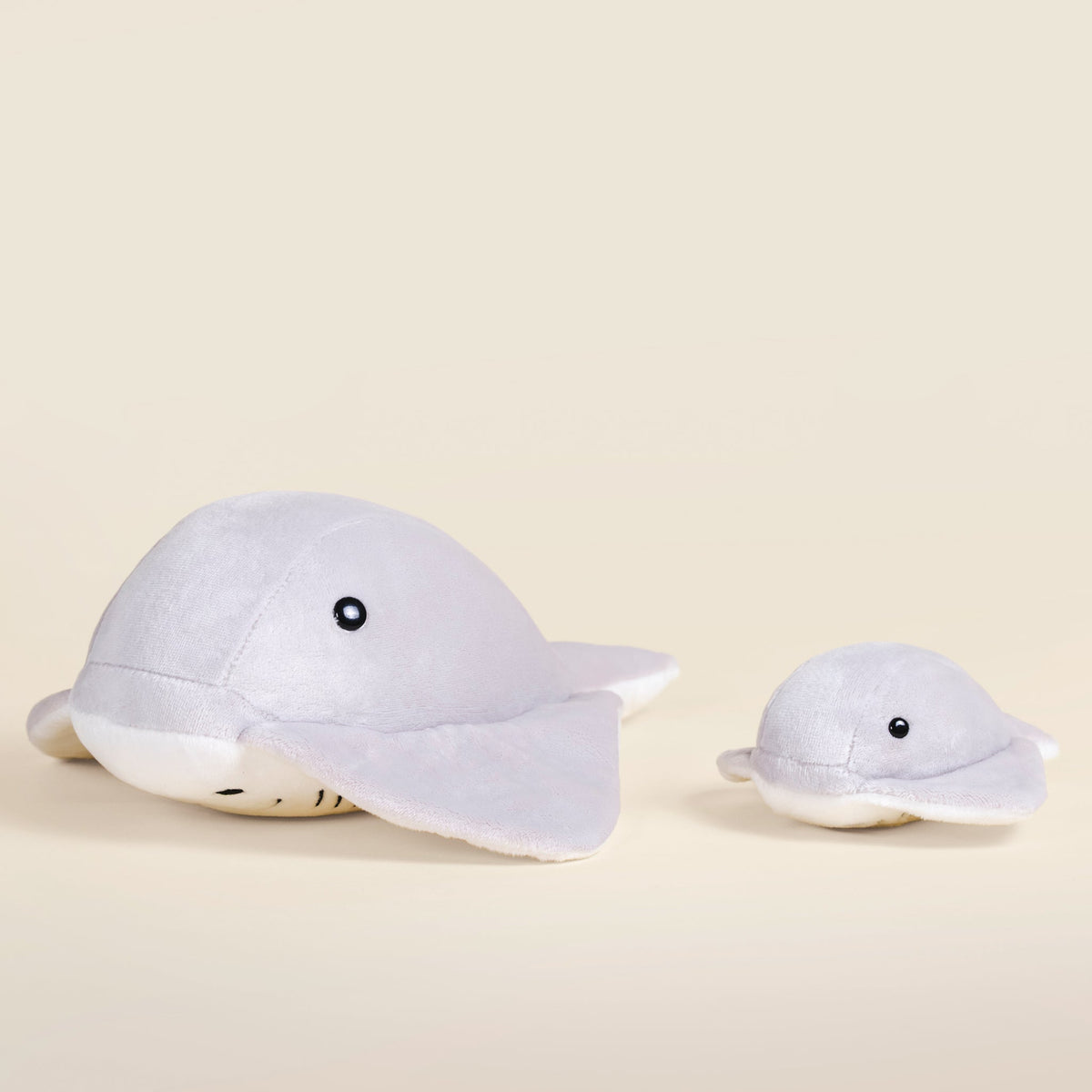 Stingi the Sting Ray