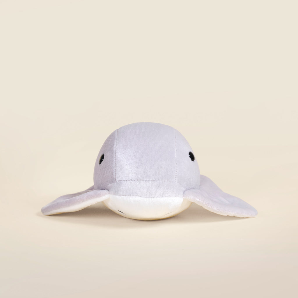 Stingi the Sting Ray