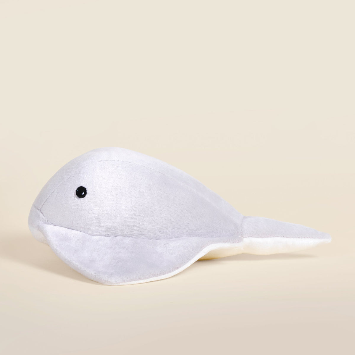 Stingi the Sting Ray