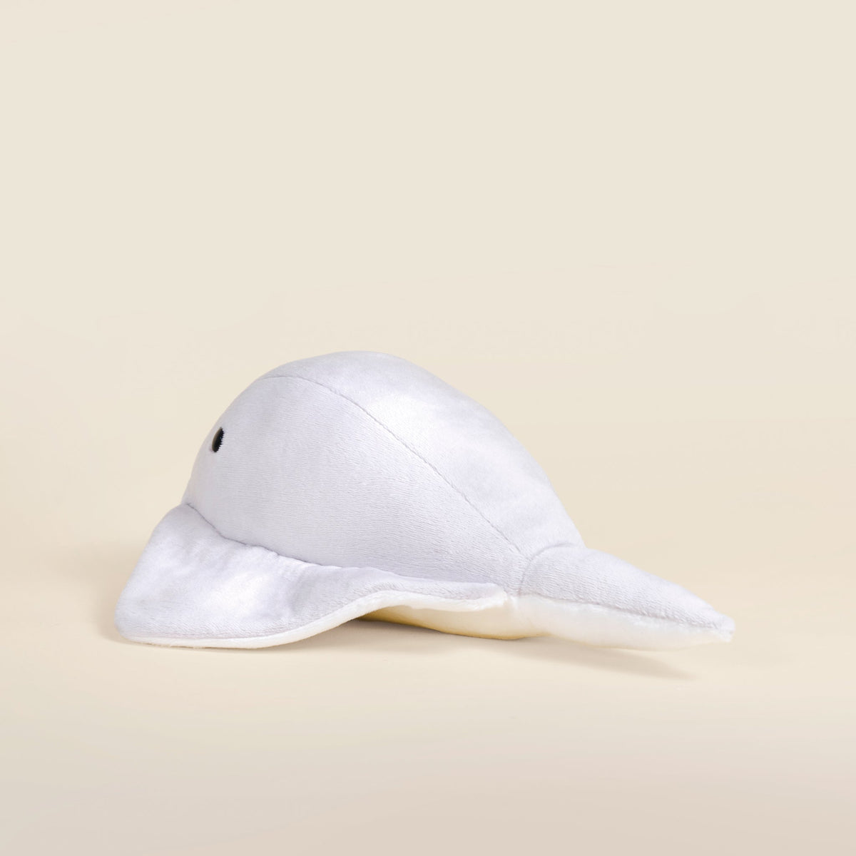 Stingi the Sting Ray