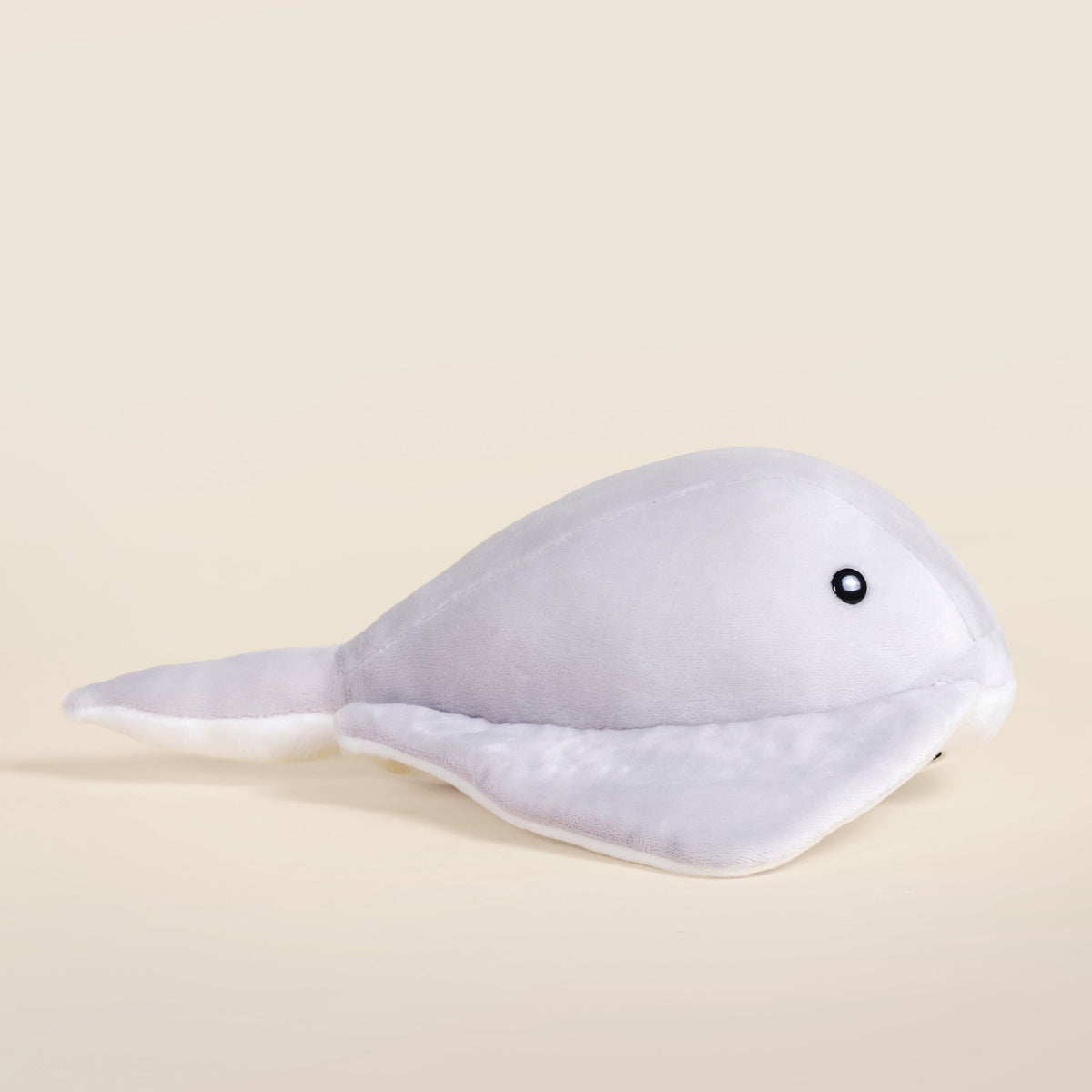 Stingi the Sting Ray