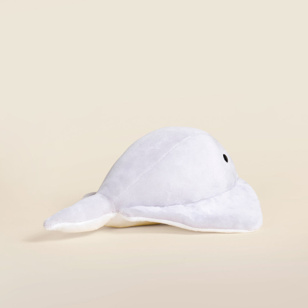 Stingi the Sting Ray
