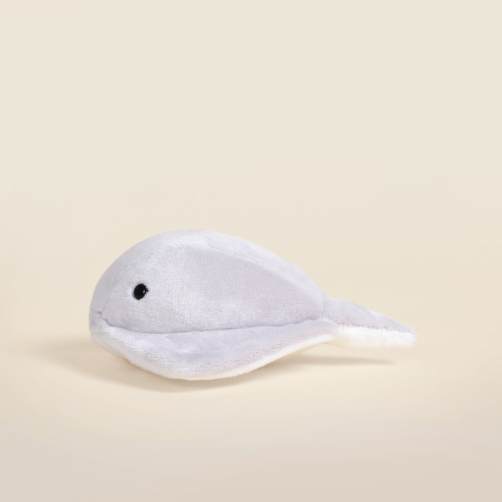 Mini Stingi the Sting Ray
